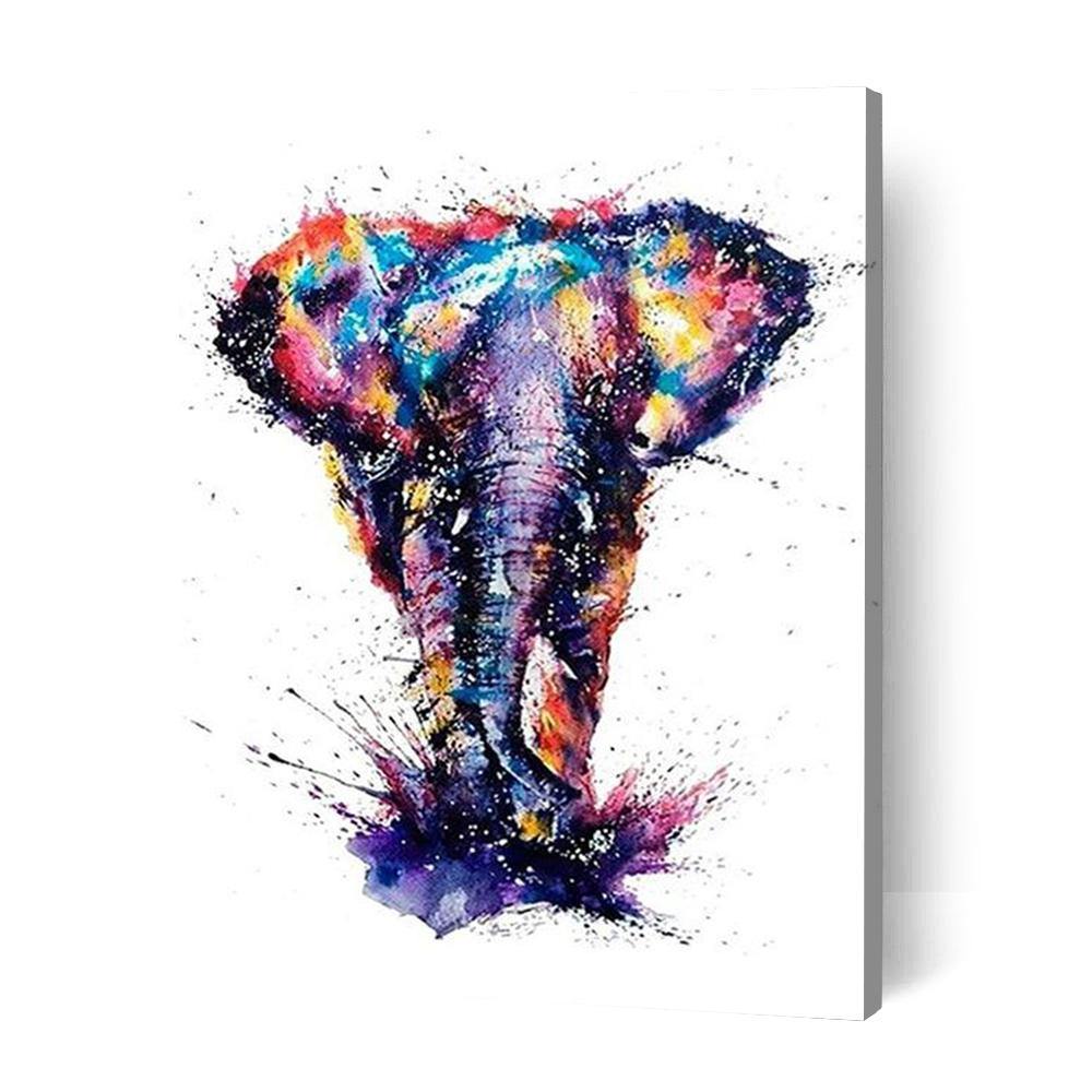 Animal Bundle IV