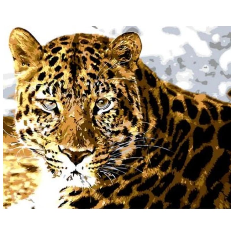 Animal Leopard Diy Paint By Numbers Kits ZXQ751 – Adult
