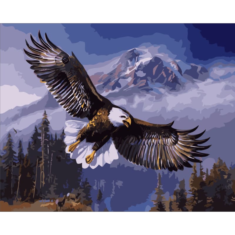Eagle Diy Paint By Numbers Kits ZXE519 - NEEDLEWORK KITS