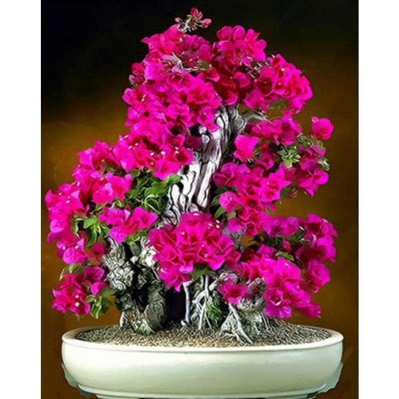 Flower Diy Paint By Numbers Kits ZXQ3423 – Adult Paint By Numbers