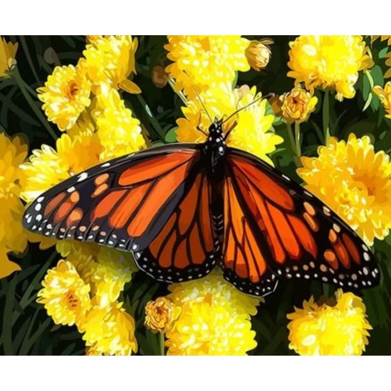 Flying Animal Butterfly Diy Paint By Numbers Kits ZXQ3253 - NEEDLEWORK KITS