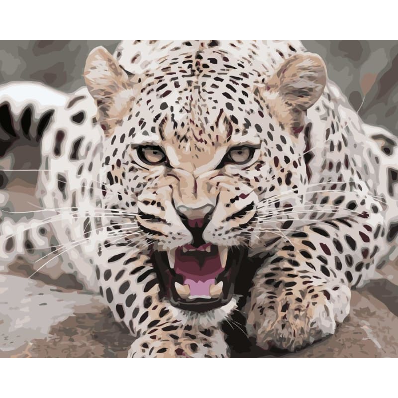 Leopard Diy Paint By Numbers Kits WM-045 - NEEDLEWORK KITS