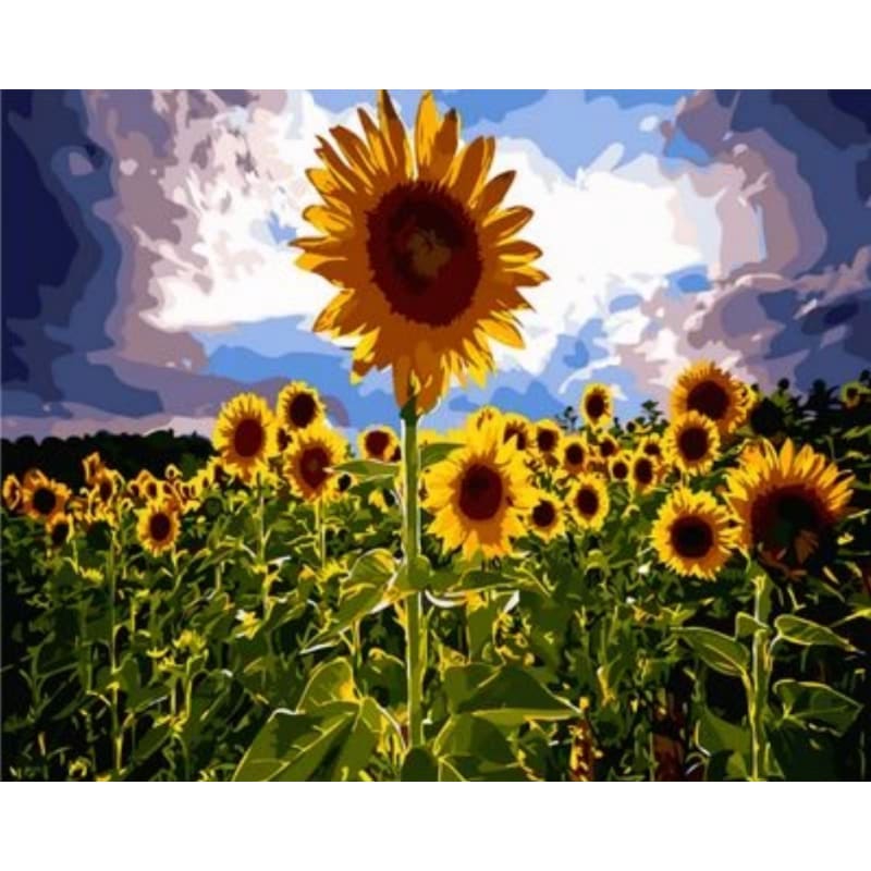 Sunflower Diy Paint By Numbers Kits ZXQ1802 - NEEDLEWORK KITS