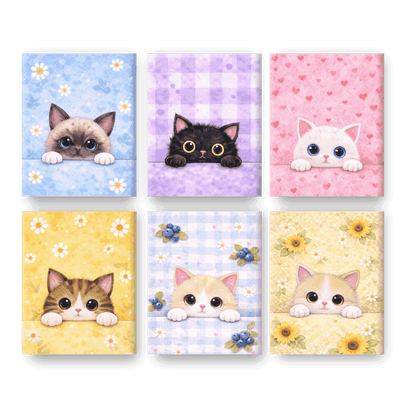 6 Mini Paintings - Curious Kittens Set
