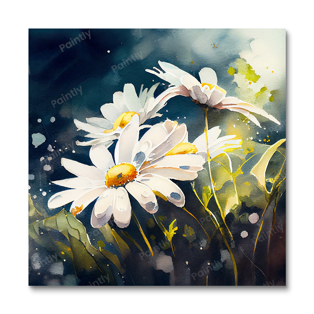 Dew Drop Daisies