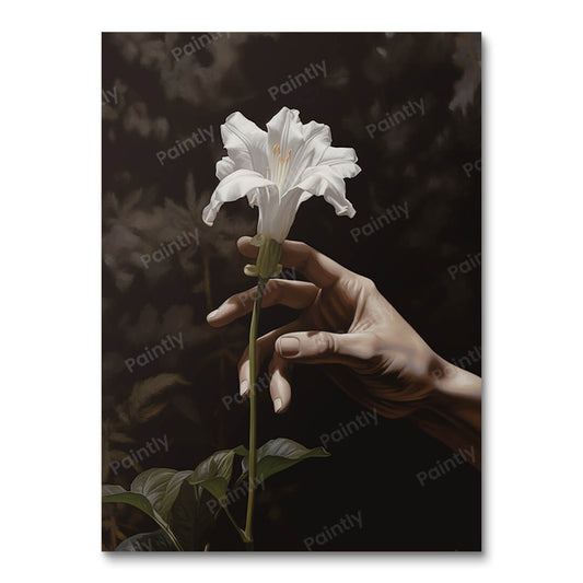 White Hibiscus