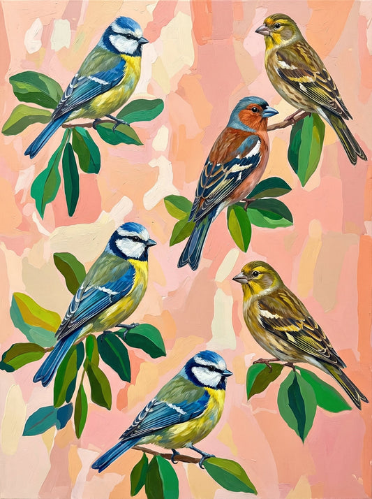 Garden Songbird Collection