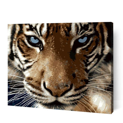 Animal Bundle VI