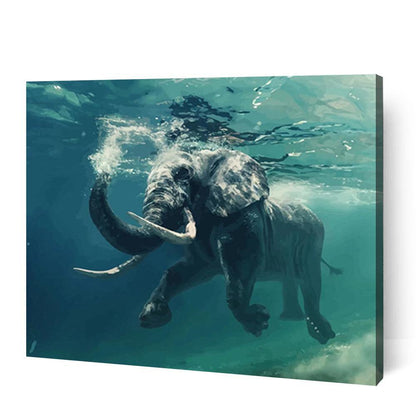Animals Bundle VIII
