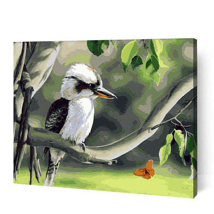 Bird Collection Bundle