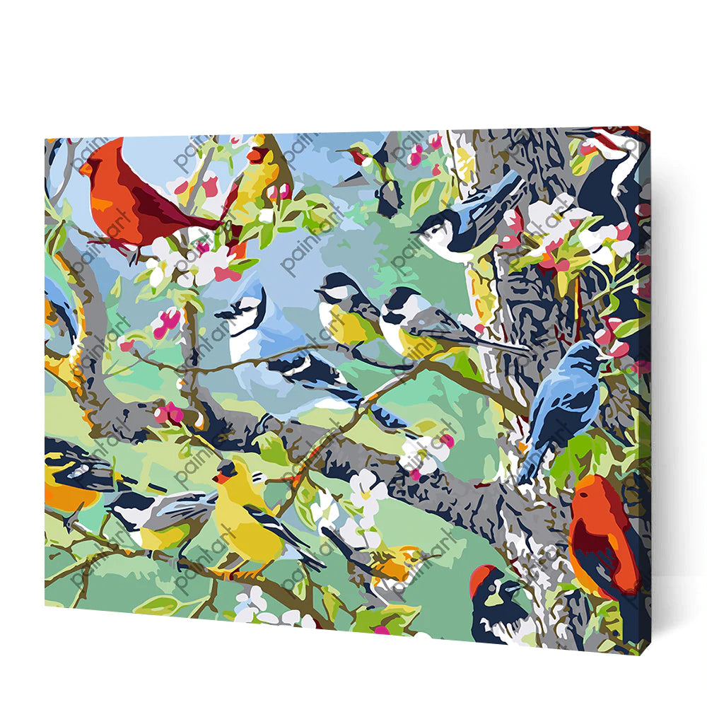 Bird Collection Bundle II