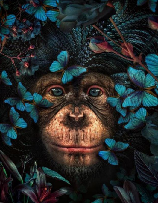 Floral Monkey