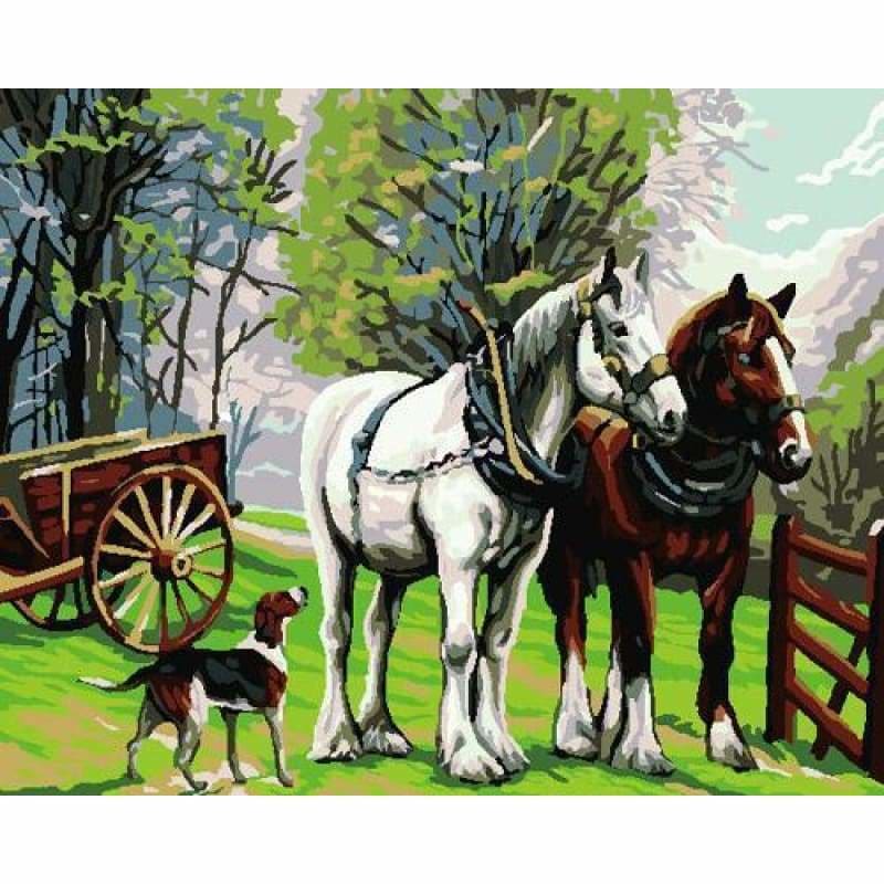 Animal Horse Diy Paint By Numbers Kits ZXB845 - NEEDLEWORK KITS