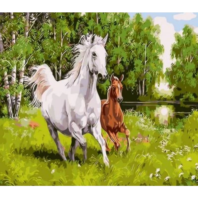 Animal Horse Diy Paint By Numbers Kits ZXQ013 - NEEDLEWORK KITS