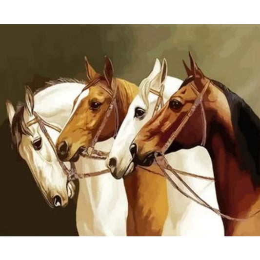 Animal Horse Diy Paint By Numbers Kits ZXQ2712 - NEEDLEWORK KITS