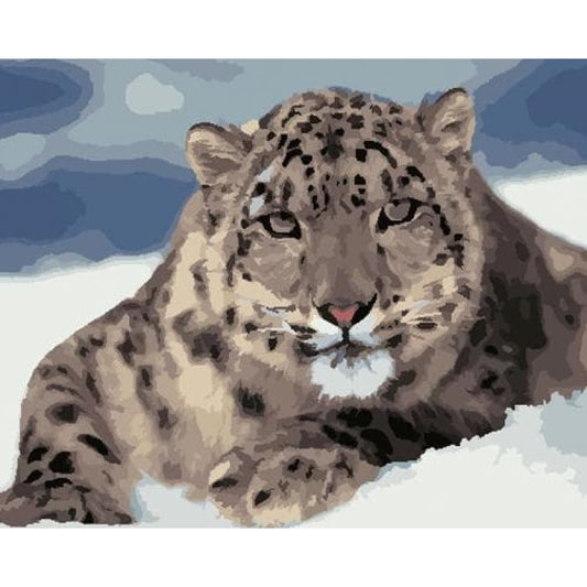 Animal Leopard Diy Paint By Numbers Kits ZXB782 - NEEDLEWORK KITS