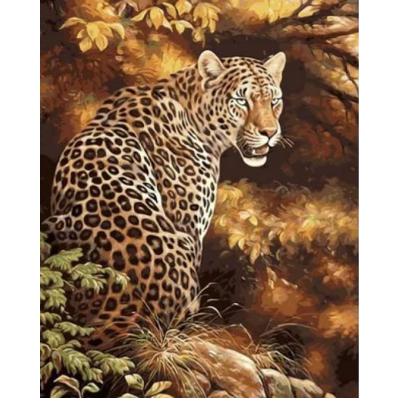 Animal Leopard Diy Paint By Numbers Kits ZXQ1614 - NEEDLEWORK KITS