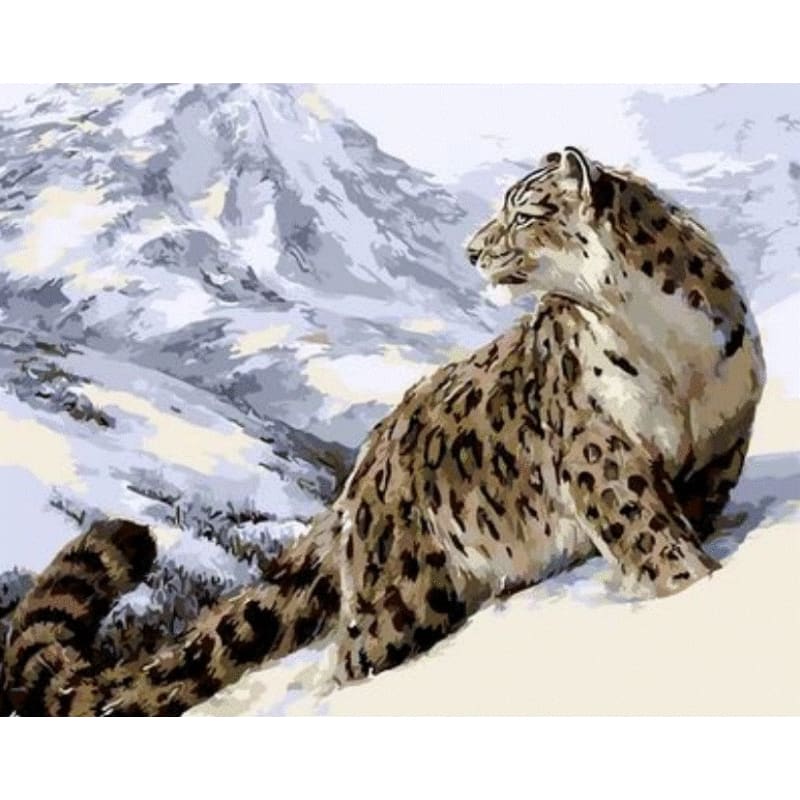 Animal Leopard Diy Paint By Numbers Kits ZXQ1936-SY-4050-086 - NEEDLEWORK KITS