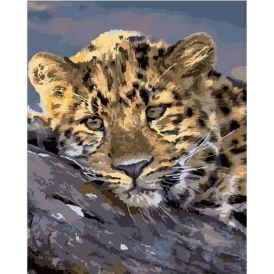 Animal Leopard Diy Paint By Numbers Kits ZXQ2029 - NEEDLEWORK KITS