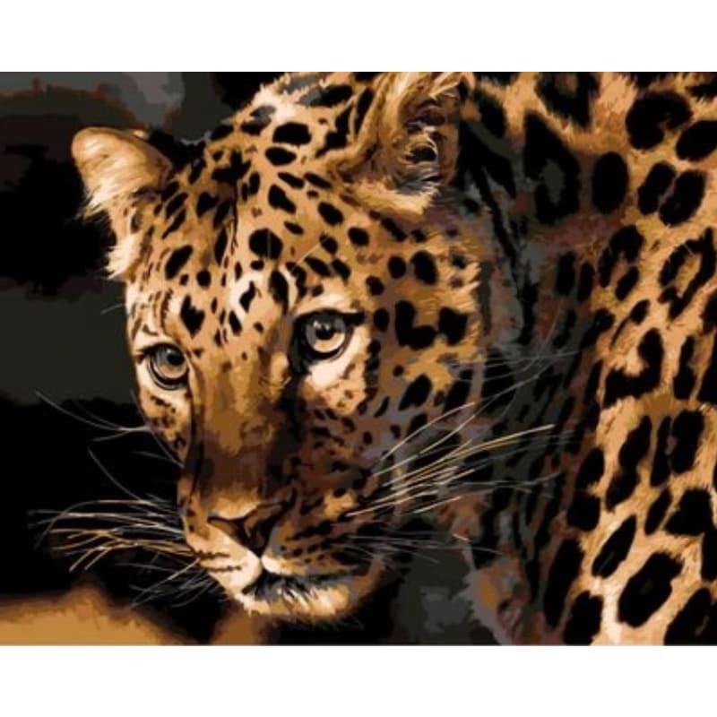 Animal Leopard Diy Paint By Numbers Kits ZXQ694 - NEEDLEWORK KITS