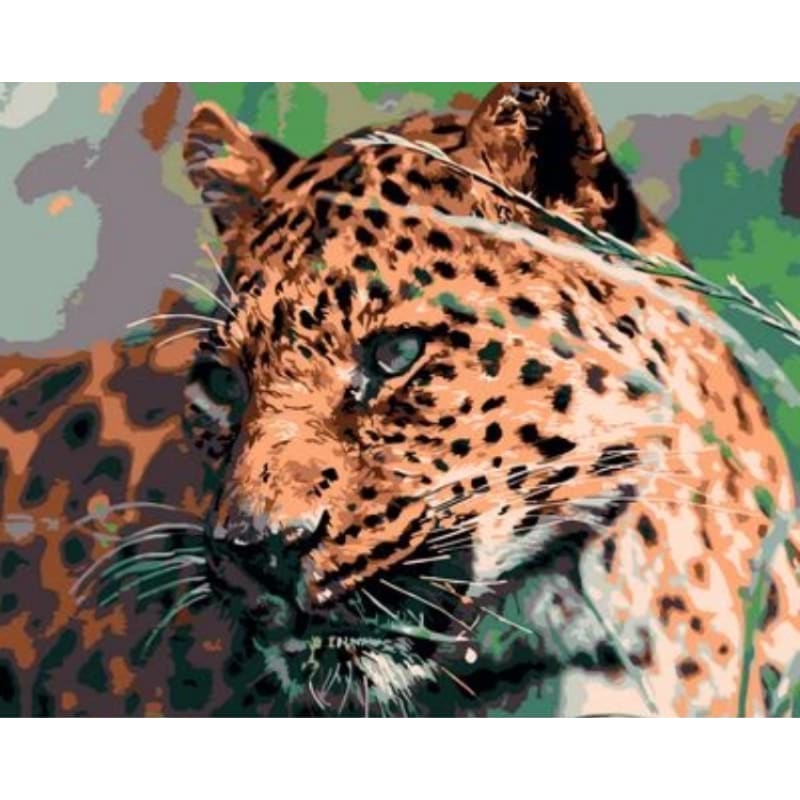 Animal Leopard Diy Paint By Numbers Kits ZXQ741 - NEEDLEWORK KITS