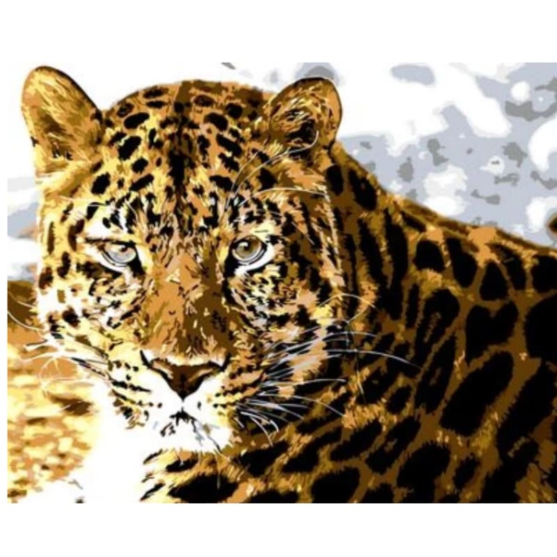 Animal Leopard Diy Paint By Numbers Kits ZXQ751 - NEEDLEWORK KITS