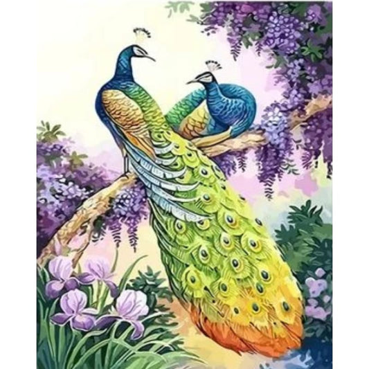 Animal Peacocks Diy Paint By Numbers Kits ZXQ2775