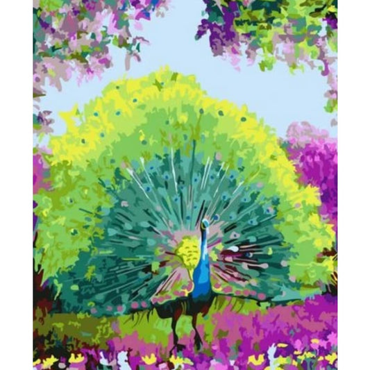 Animal Peacocks Diy Paint By Numbers Kits ZXQ2963