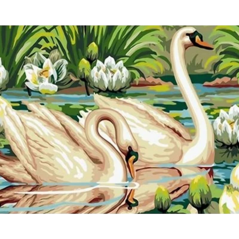 Animal Swan Diy Paint By Numbers Kits ZXQ2200 - NEEDLEWORK KITS