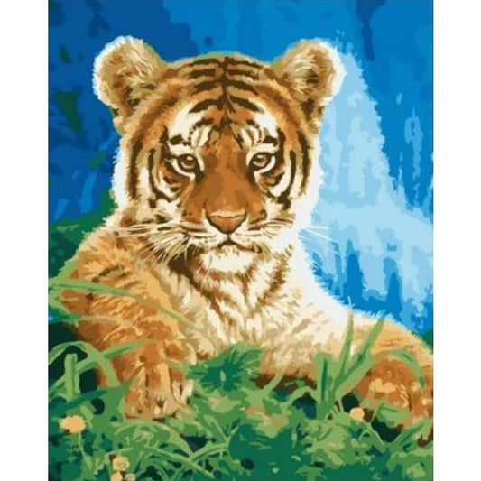 Animal Tiger Diy Paint By Numbers Kits ZXQ2491 - NEEDLEWORK KITS