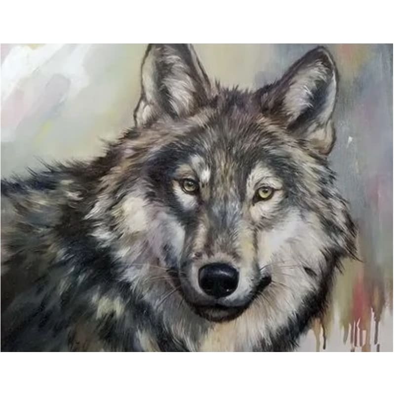 Animal Wolf Diy Paint By Numbers Kits ZXQ2155 - NEEDLEWORK KITS