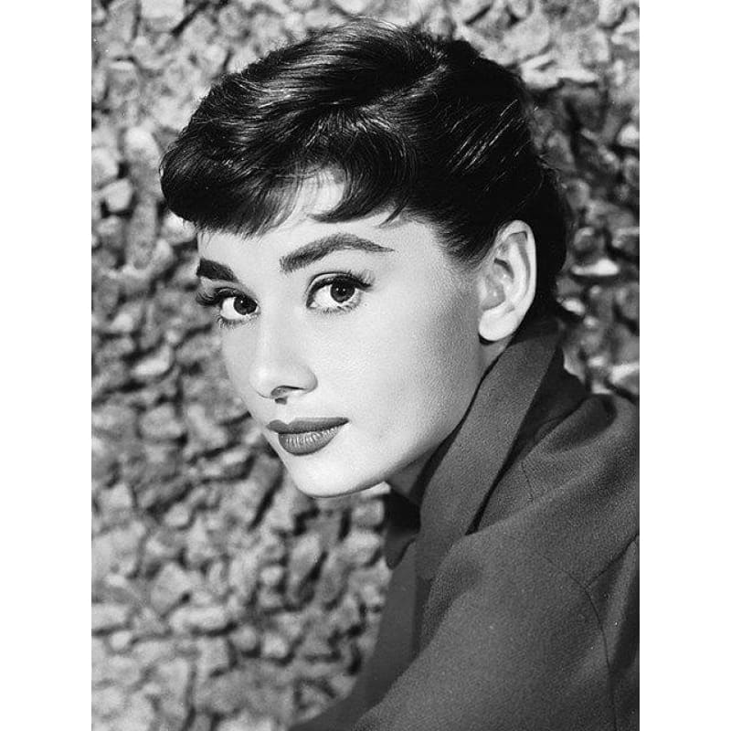 Audrey Hepburn Diy Paint By Numbers Kits PBN54054 - NEEDLEWORK KITS