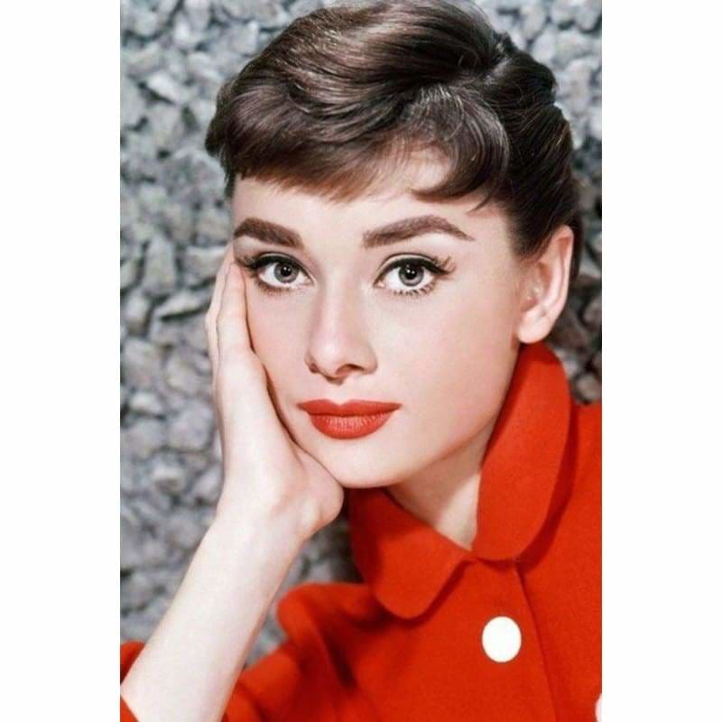 Audrey Hepburn Diy Paint By Numbers Kits PBN94055 - NEEDLEWORK KITS