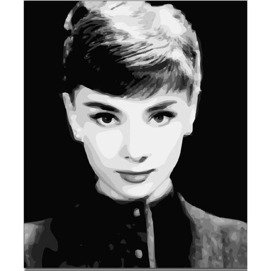 Audrey Hepburn Diy Paint By Numbers Kits YM-4050-111 - NEEDLEWORK KITS