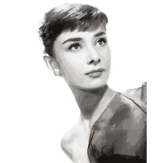 Audrey Hepburn Diy Paint By Numbers Kits ZXB793-18 - NEEDLEWORK KITS