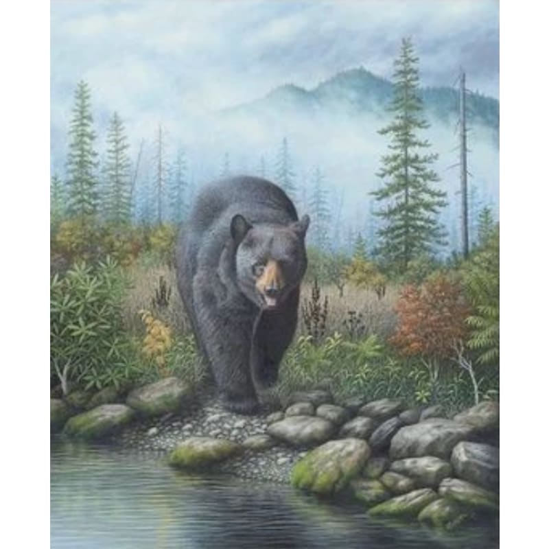 Bear Diy Paint By Numbers Kits ZXQ2689 - NEEDLEWORK KITS