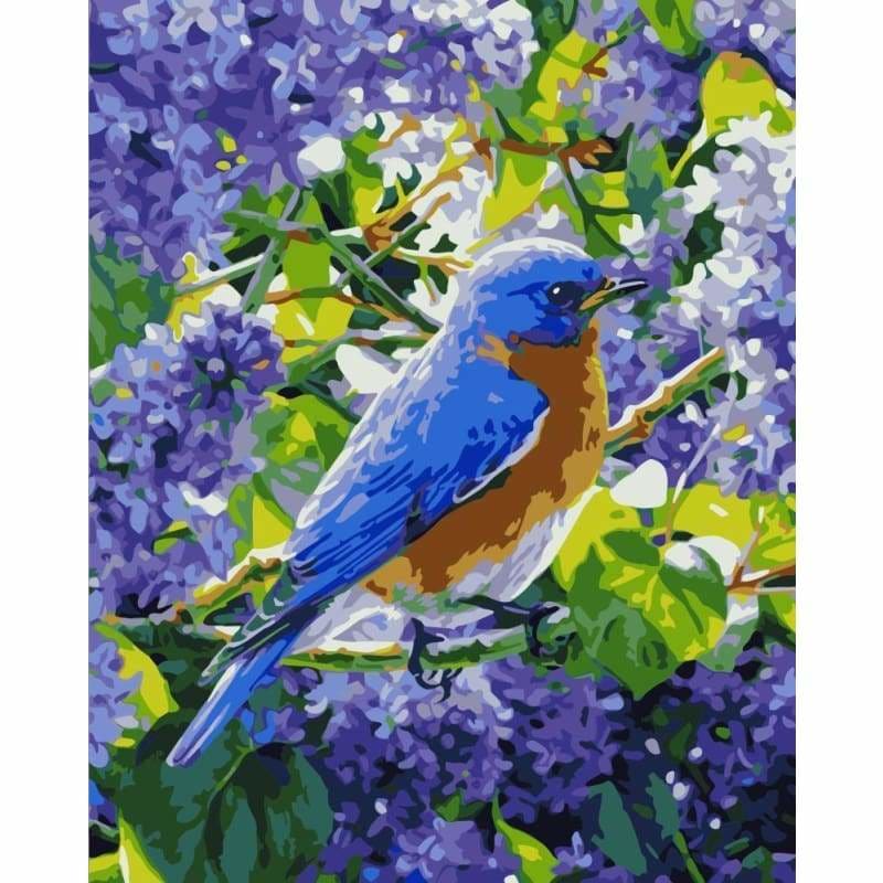 Bird Diy Paint By Numbers Kits WM-1761 - NEEDLEWORK KITS