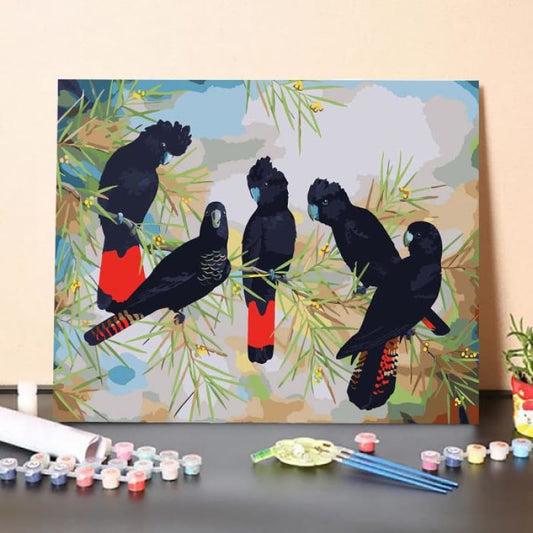 Black Cockatoos