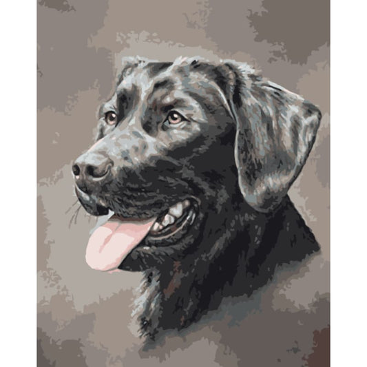 Black Dog Diy Paint By Numbers Kits WM-1593 - NEEDLEWORK KITS