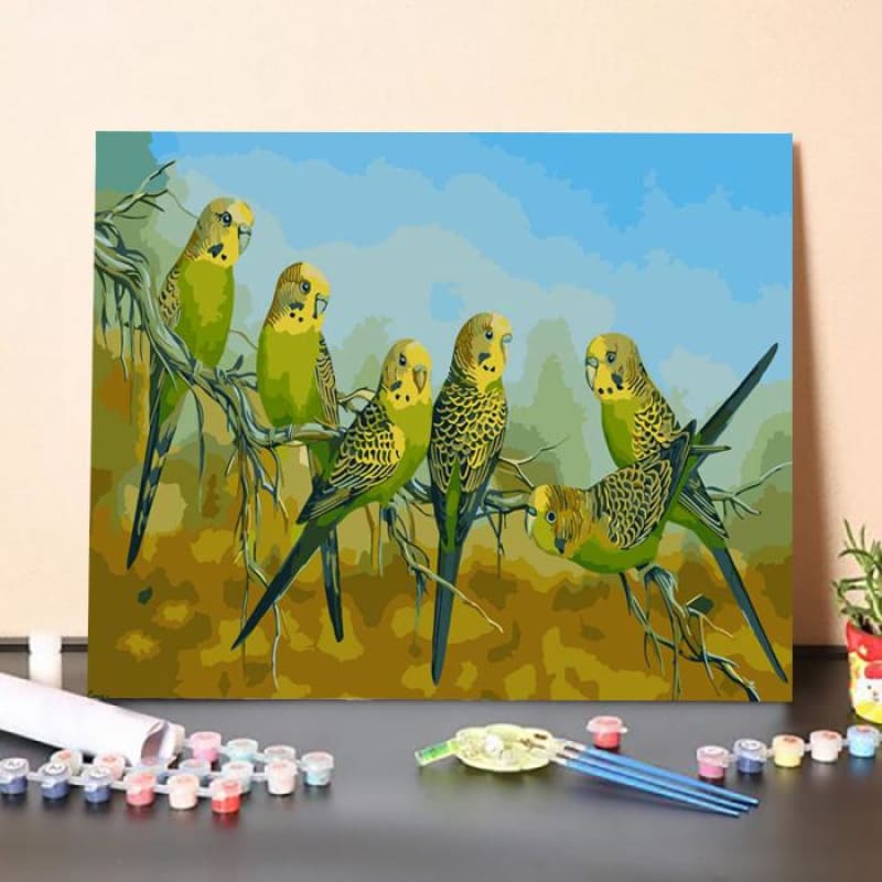 Budgies