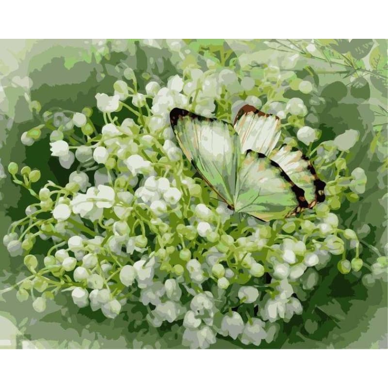 Butterfly Diy Paint By Numbers Kits WM-1500 - NEEDLEWORK KITS