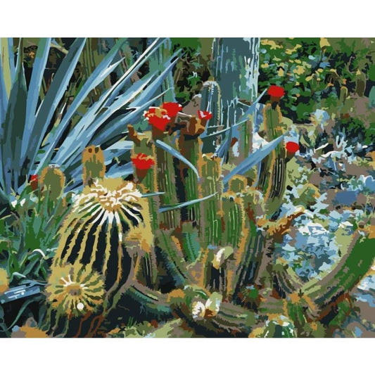 Cactus Diy Paint By Numbers Kits WM-1695 - NEEDLEWORK KITS