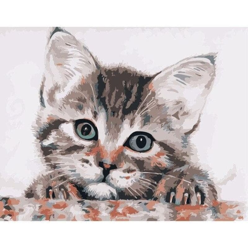 Cat Diy Paint By Numbers Kits PBN92369 - NEEDLEWORK KITS