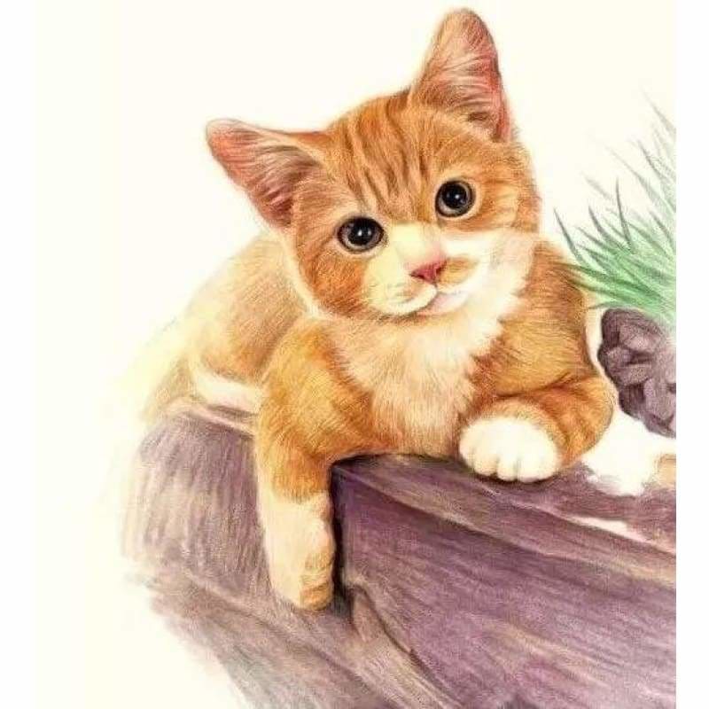 Cat Diy Paint By Numbers Kits PBN94354 - NEEDLEWORK KITS