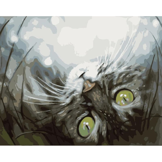 Cat Diy Paint By Numbers Kits WM-411 - NEEDLEWORK KITS