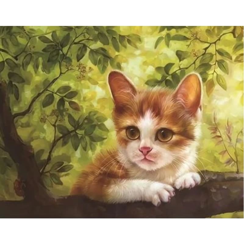 Cat Diy Paint By Numbers Kits ZXQ2154 - NEEDLEWORK KITS