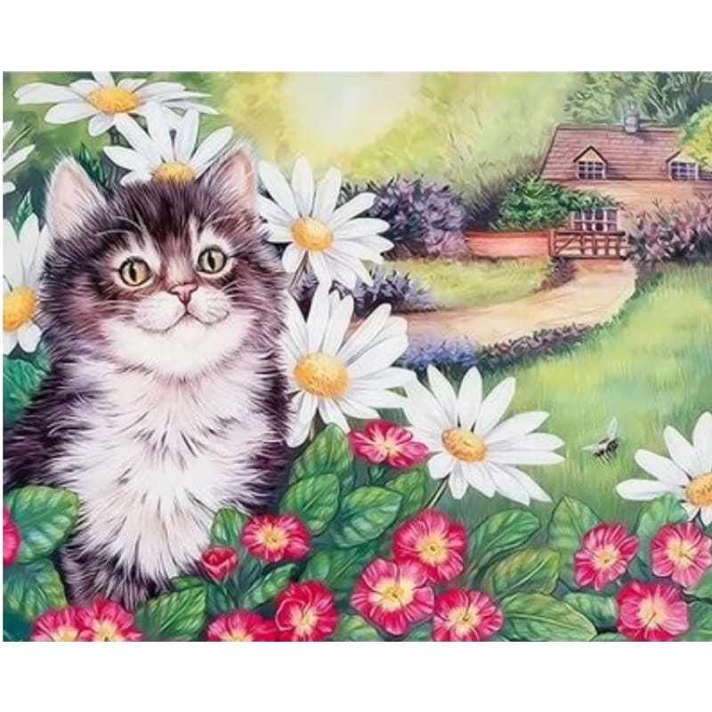 Cat Diy Paint By Numbers Kits ZXQ2250 - NEEDLEWORK KITS