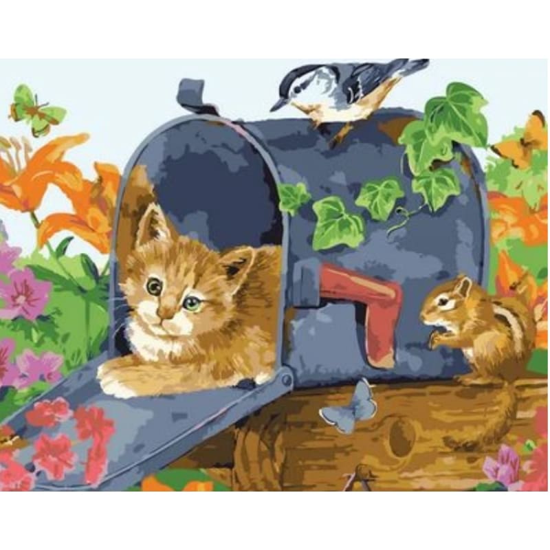 Cat Diy Paint By Numbers Kits ZXQ2477 - NEEDLEWORK KITS