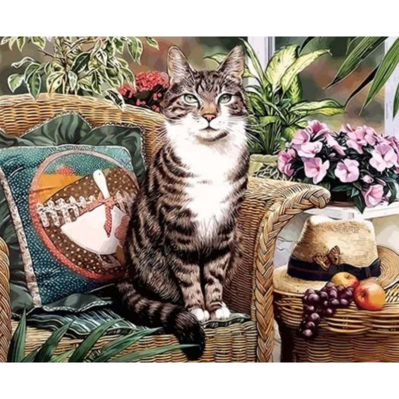 Cat Diy Paint By Numbers Kits ZXQ2848 - NEEDLEWORK KITS