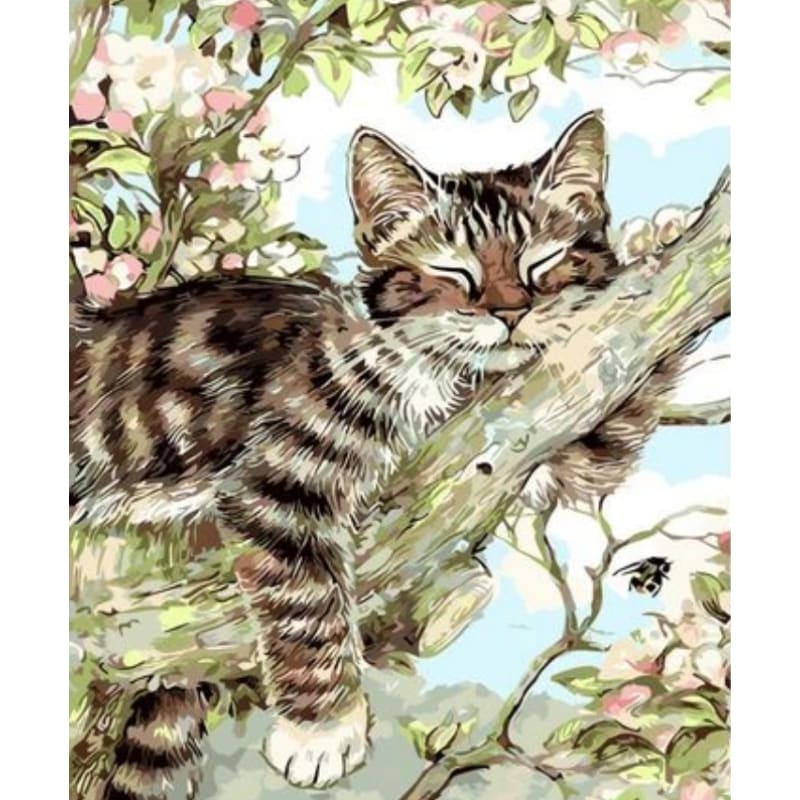 Cat Diy Paint By Numbers Kits ZXQ3156 - NEEDLEWORK KITS